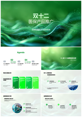 2025双十二医保电商销售趋势预测与消费需求分析PPT模板