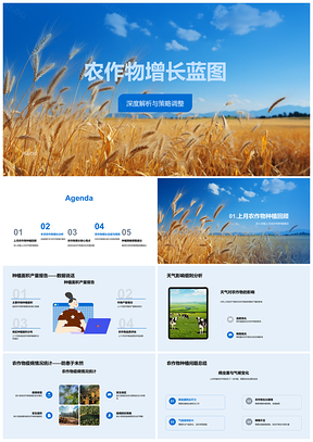 2025农作物增长策略调整种植面积提升产量应对天气疫病PPT模板