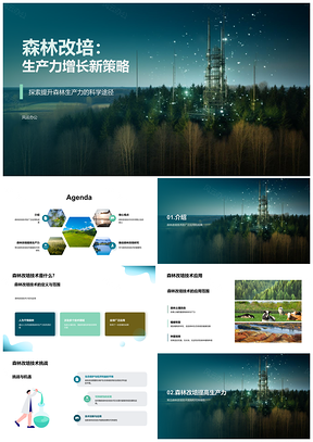 2025森林改培技术提升生产力研究进展PPT模板