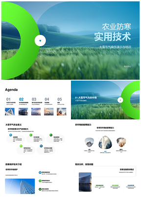 2025现代农业大雪防寒技术措施与设施搭建PPT模板