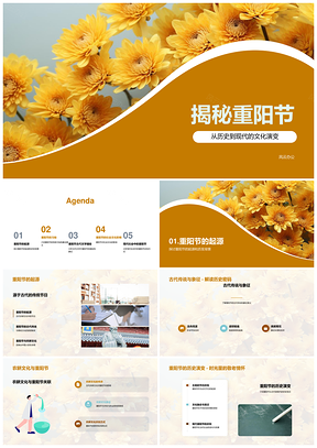 2025揭秘重阳节历史传统习俗登高赏菊品糕PPT模板