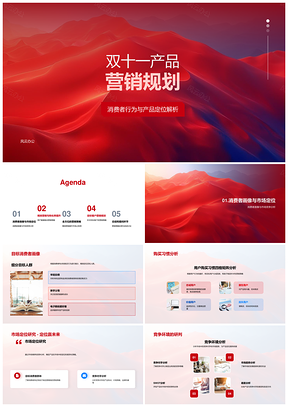 2025双十一产品营销规划PPT消费者画像竞争定位分析