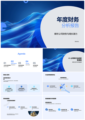2025年度财务分析报告核心指标增长潜力公司战略PPT模板