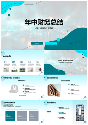 2025年中财务风控优化合规评估资源配置控本总结PPT模板