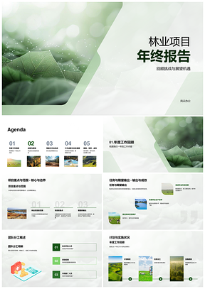 2025林业项目年终团队协作效率挑战资源技术决策报告PPT模板