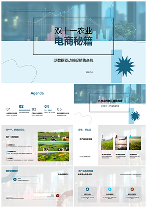 2025双十一农业电商数据驱动营销策略农产品销售PPT模板