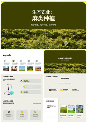 2025麻类种植生态环保培训护水土稳生态PPT模板