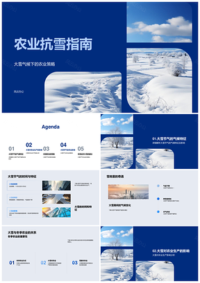 2025农业冬季抗雪保温防冻策略PPT模板