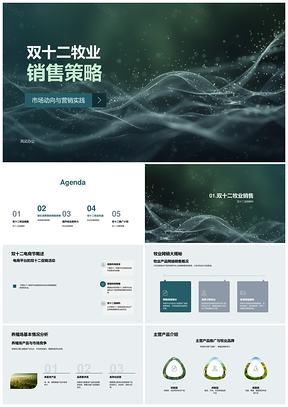 2025双十二牧业电商促销销售策略PPT模板