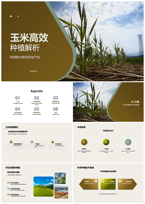2025玉米科学种植技巧提升产量质量与市场前景PPT模板