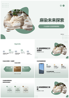 2025麻染整精加工行业年终总结与前景展望PPT模板