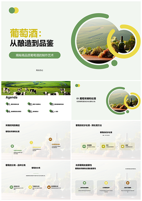 2025酿酒师葡萄采摘处理分类酿造优质葡萄酒PPT模板