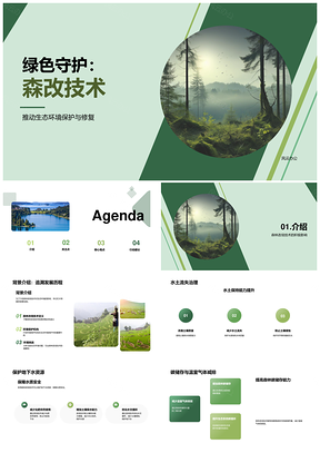 2025森林改培技术水土碳储生态环保专家析影响PPT模板