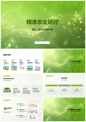 2025精准农业遥感GPSGIS技术应用案例挑战发展PPT模板