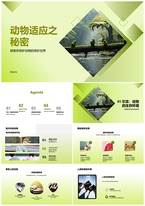 2025动物适应进化与人类影响生态保护PPT模板
