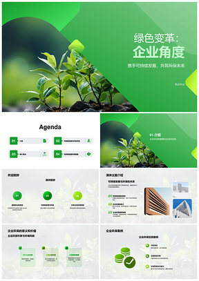 2025企业高管谈绿色发展案例经验挑战PPT模板