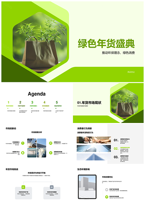 2025环保年货市场潜力与消费者需求洞察PPT模板
