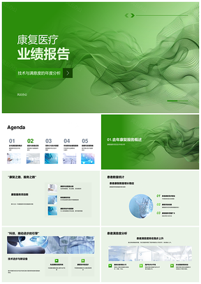 2025康复医疗技术绩效评估服务市场需求患者满意度业绩报告PPT模板