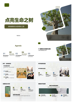 2025生命之树光温水促生长发芽开花PPT模板