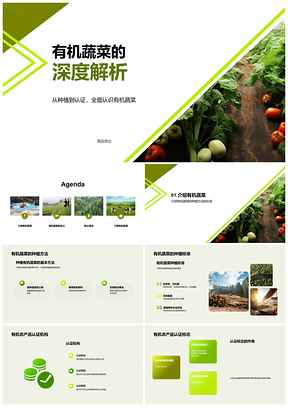 2025有机蔬菜种植标准营养差异推广好处解析PPT模板