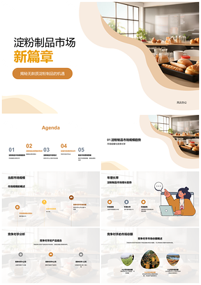 2025淀粉制品市场规模增长趋势与企业竞争分析PPT模板