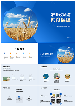 2025农业政策优化科技投入保障粮食安全PPT模板