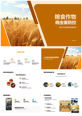 2025粮食作物病虫害科学防控理论与实践PPT模板