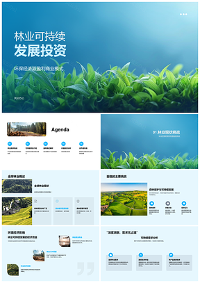 2025林业可持续投资环保经济生态旅游模式PPT模板