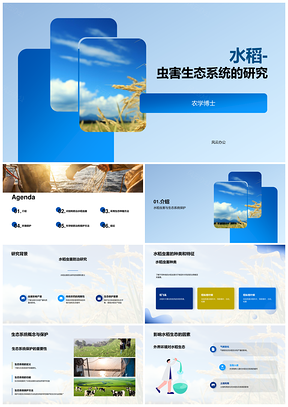 2025水稻虫害生态系统防治策略与保护研究PPT模板