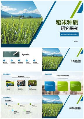 2025稻米种质资源研究与品种改良方法PPT模板