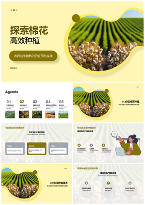 2025农业专家农场主棉花高效种植技术研究进展PPT模板