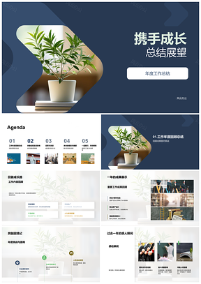 2025携手成长年度总结展望Z项目业务发展PPT模板