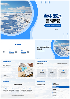 2025大雪破冰营销新篇节气策略PPT模板