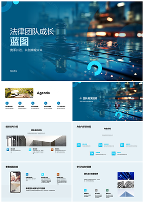 2025法律团队成长架构技能培训案例经验行业趋势PPT模板