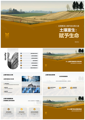 2025土壤污染修复挑战突破重塑净化定义分类PPT模板