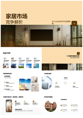 2025家居市场竞争分析中小企业生存发展策略PPT模板