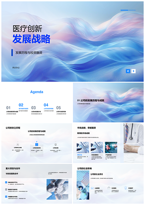 2025医疗创新发展战略历程投融资市场技术布局融资计划书PPT模板