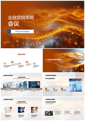 2025金融营销策略全球市场法规适应投资者行为产品定位竞争优势模板