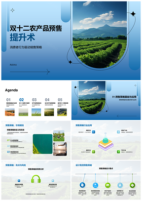 2025双十二农产品预售策略销售提升术PPT模板