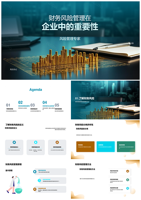 2025企业高管财务风险评估控制与业绩提升PPT模板