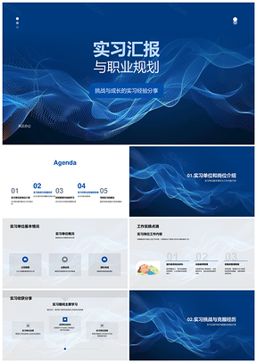 2025实习汇报职业规划经验挑战成长策略PPT模板