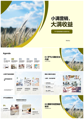 2025小满节气麦穗满赠营销策略提升销量PPT模板