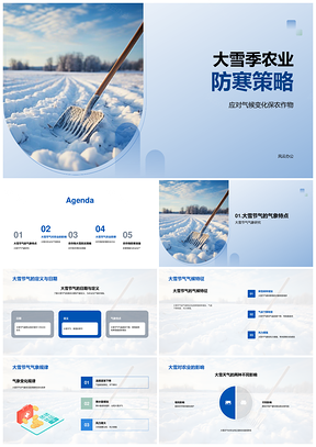 2025大雪季农作物防寒应对气候变化策略PPT模板