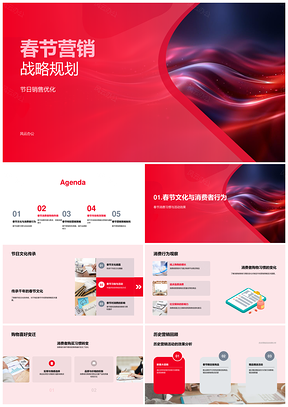 2025春节营销战略促销数据分析新品广告规划PPT模板