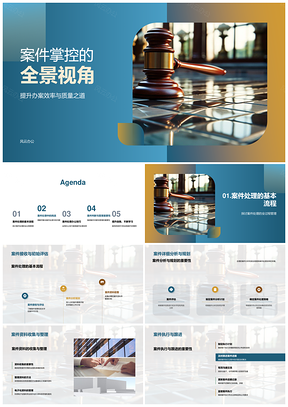 2025案件管理全景视角提效保质PPT模板