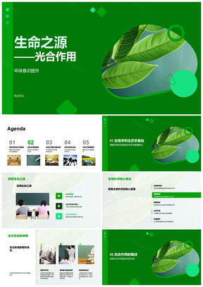 2025光合作用光暗产氧糖叶生态生物学PPT模板
