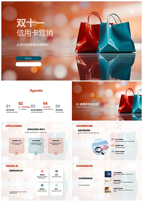 2025双十一信用卡联名卡定位目标消费群体社交媒体营销策略PPT模板