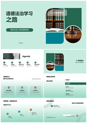 2025道德法治课程学习法守规则做合格公民PPT模板