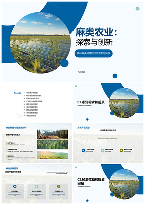 2025麻类种植机遇挑战农经投资发展前景PPT模板