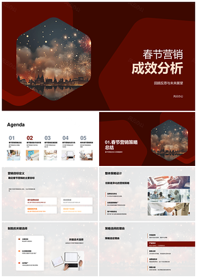 2025春节营销策略成效与市场趋势分析PPT模板